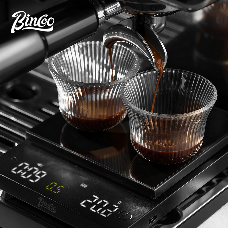 BINCOO Digital Coffee Scale 0. - đánh giá và giá Scale Drip Timer